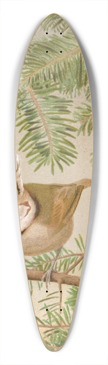 Lo-Paul Robert - Msange Huppe 39.3 inch art pintail longboard deck
