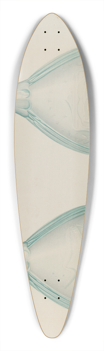Loraine Makimson - Green Whiskey Bottle 39.3 inch art pintail longboard deck