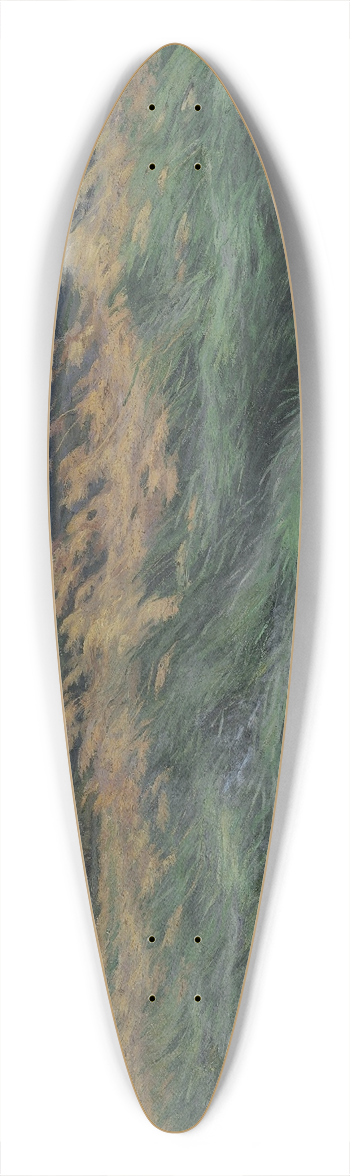 Louis Patru - Landschap 39.3 inch art pintail longboard deck
