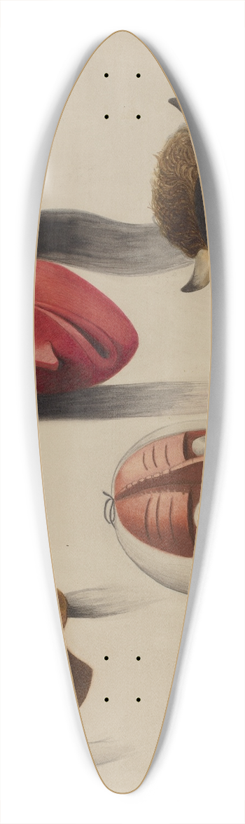 Louis Plogsted - Masks 39.3 inch art pintail longboard deck