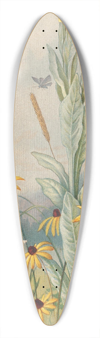 Louis Prang - Flowers of the Meadow 39.3 inch art pintail longboard deck