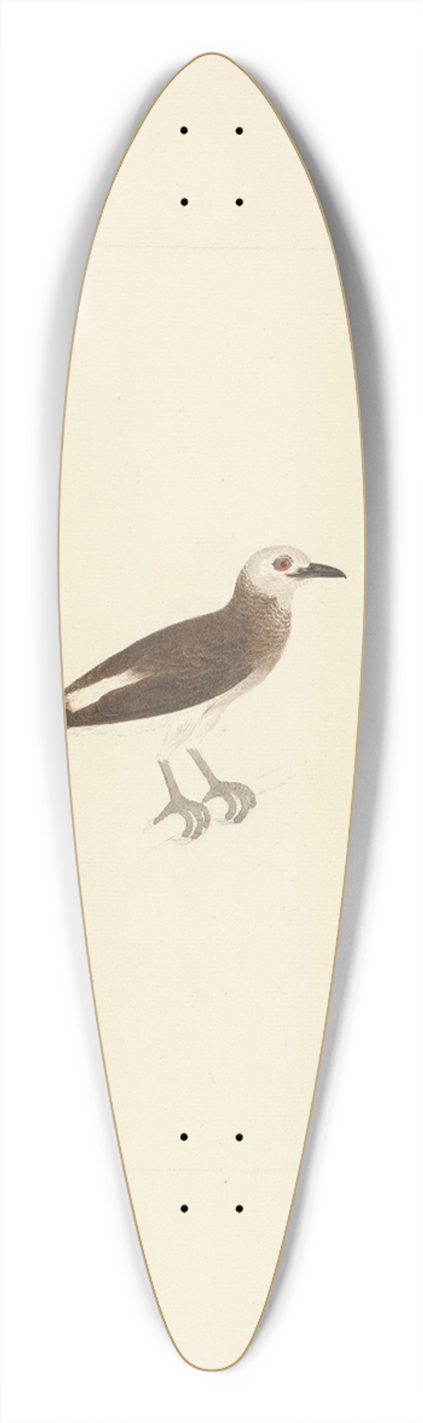 Luigi Balugani - Unidentified Bird 39.3 inch art pintail longboard deck