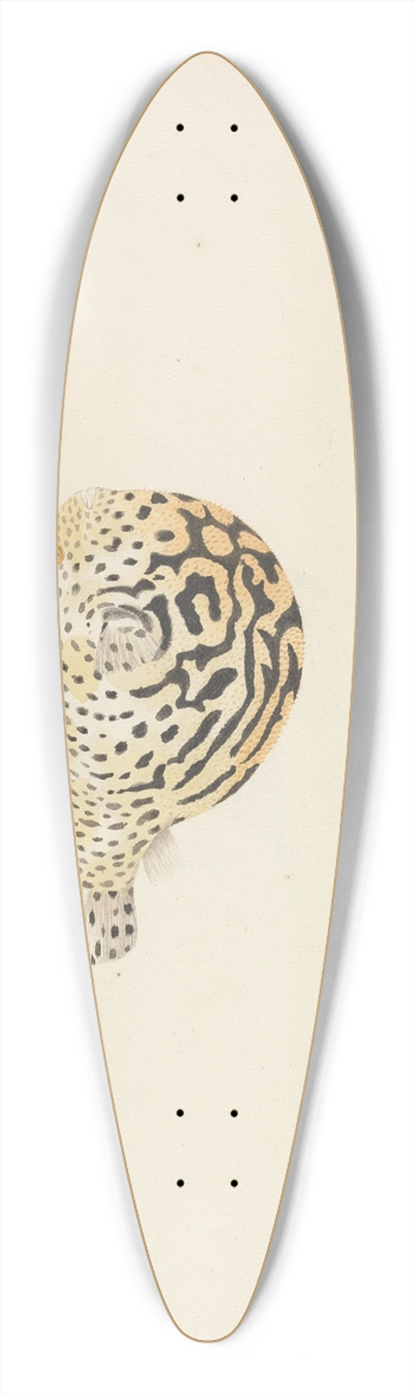 Luigi Balugani - Unidentified Fish 39.3 inch art pintail longboard deck