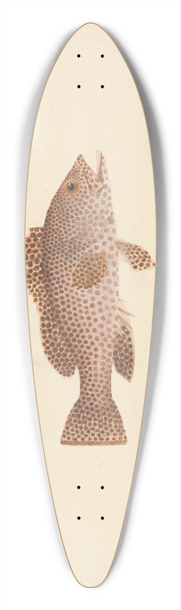 Luigi Balugani - Unidentified Fish 39.3 inch art pintail longboard deck