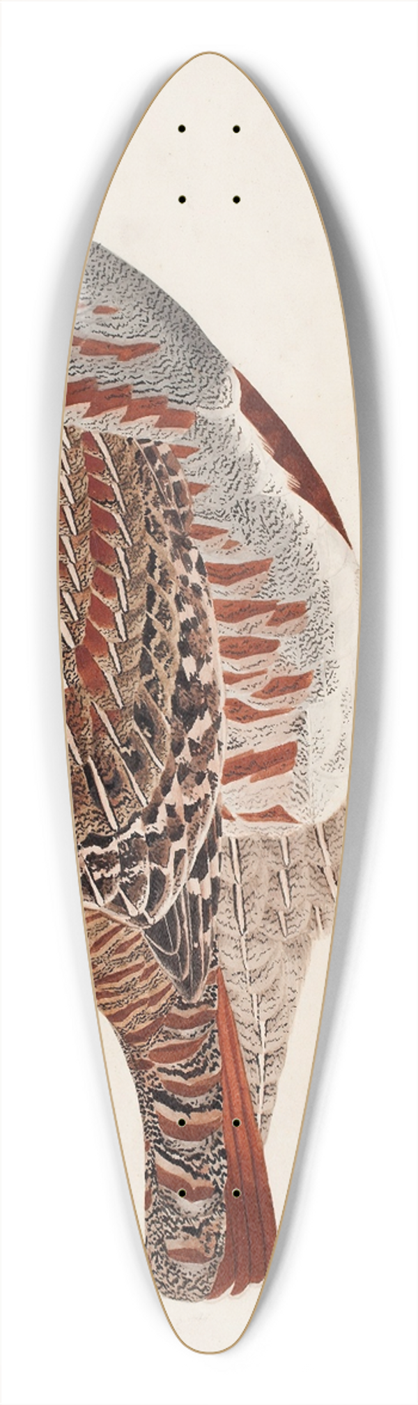 Magnus Von Wright - Grey Partridge 39.3 inch art pintail longboard deck