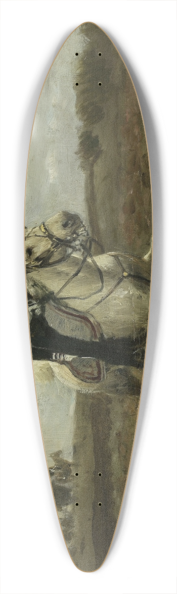Maksymilian Gierymski - Order dispatch 39.3 inch art pintail longboard deck