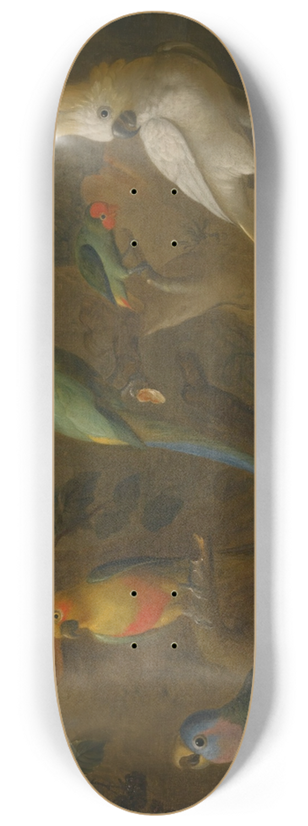 Circle of Tobias Stranover - A Landscape With Exotic Birds Including Parrots, Parakeets,Turtle Doves And Cockatoos 8.25 inch art skate deck