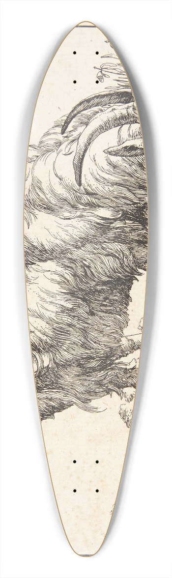 Marcus de Bye - Drikkende ged 39.3 inch art pintail longboard deck