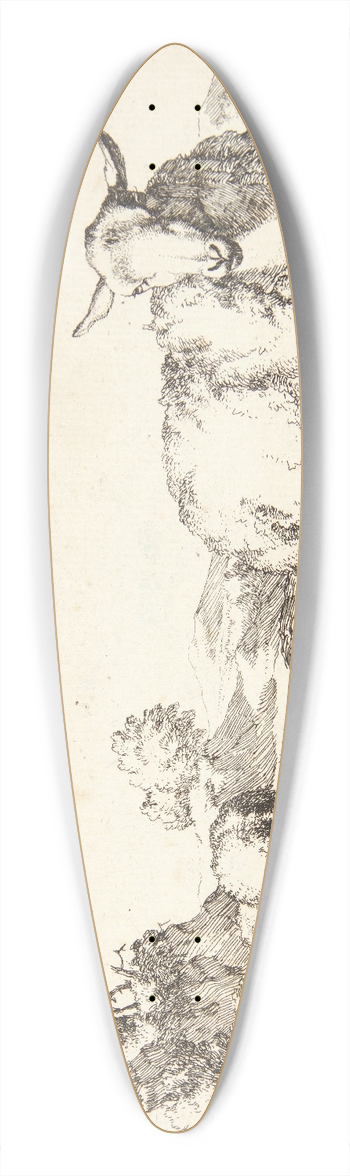 Marcus de Bye - Liggende fr 39.3 inch art pintail longboard deck