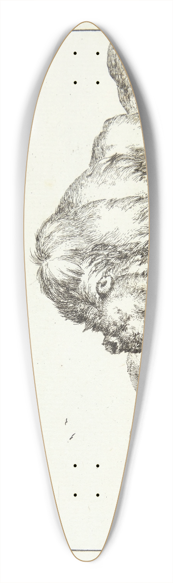 Marcus de Bye - Siddende bjrn, set forfra 39.3 inch art pintail longboard deck