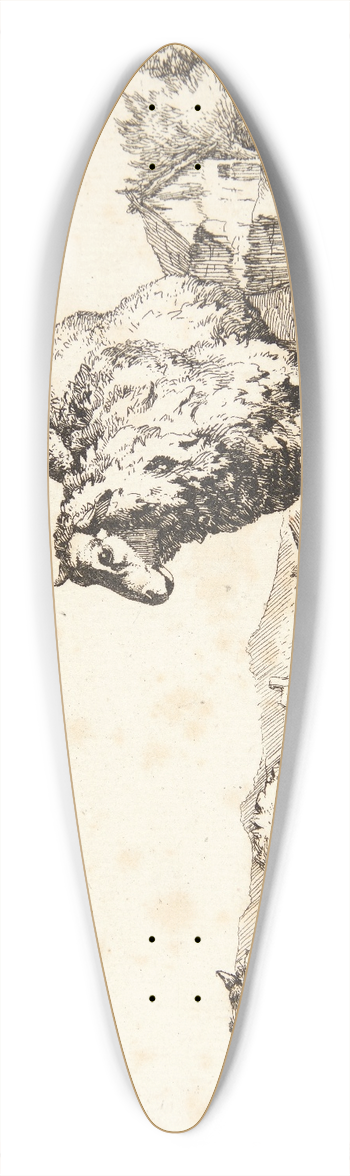 Marcus de Bye - Stende og liggende fr 39.3 inch art pintail longboard deck