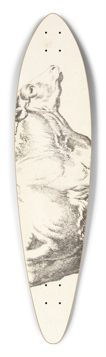 Marcus de Bye - Stende stud mod hjre 39.3 inch art pintail longboard deck