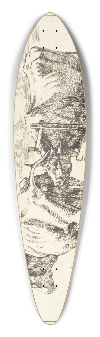 Marcus de Bye - To ker 39.3 inch art pintail longboard deck