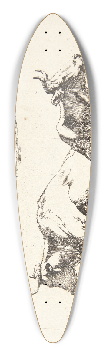 Marcus de Bye - To liggende ker 39.3 inch art pintail longboard deck