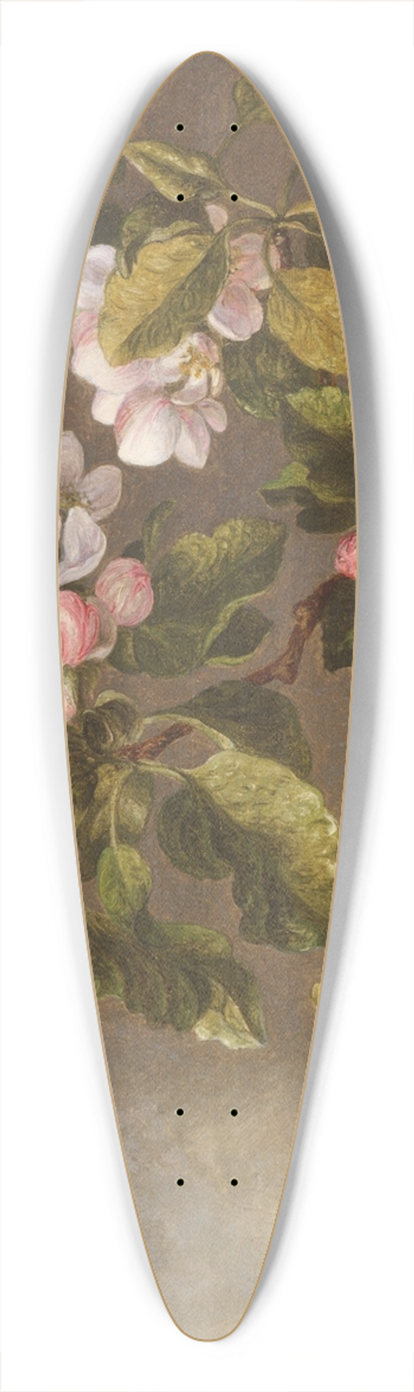 Martin Johnson Heade - Hummingbird and Apple Blossoms 39.3 inch art pintail longboard deck