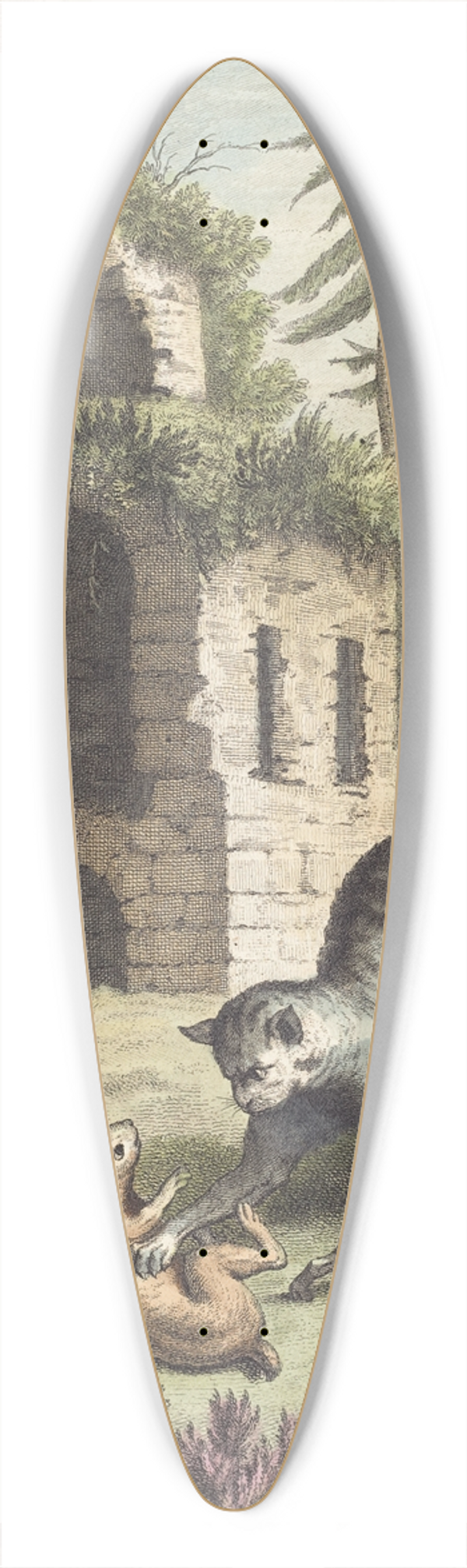 Martin Marvie - Le chat, la balette et le petit lapin (The Cat, the Weasel, and the Rabbit) 39.3 inch art pintail longboard deck