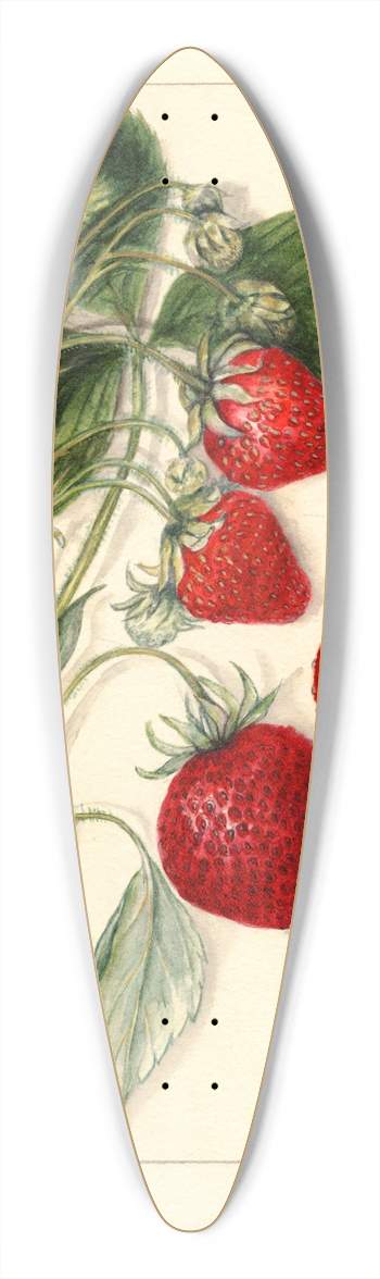 Mary Daisy Arnold - Fragaria: Dunlap 39.3 inch art pintail longboard deck