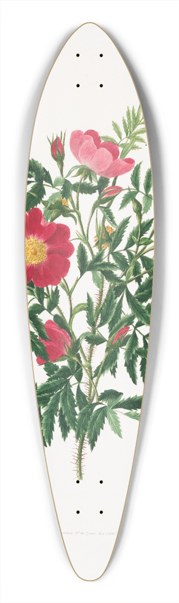 Mary Lawrance - Rosa blanda 39.3 inch art pintail longboard deck