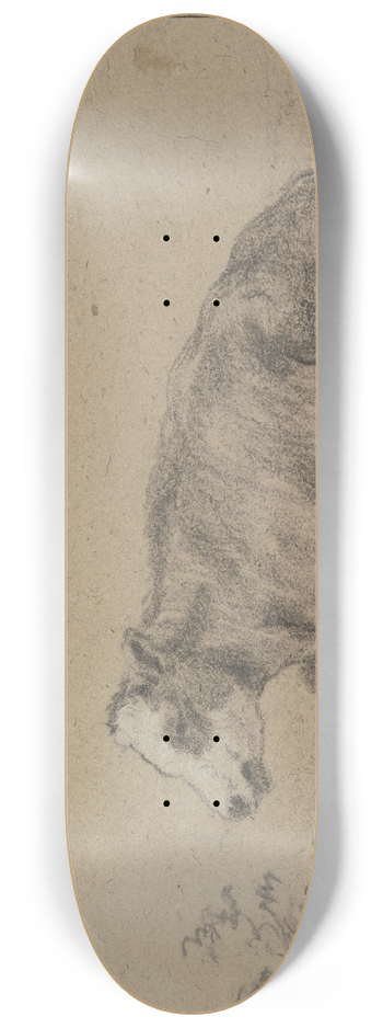 Aelbert Cuyp - Lying cow to the left 8.25 inch art skate deck