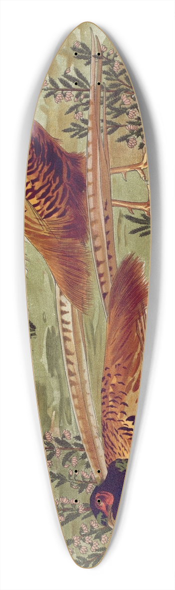 Maurice Pillard Verneuil - Faisans ordinaires. 39.3 inch art pintail longboard deck