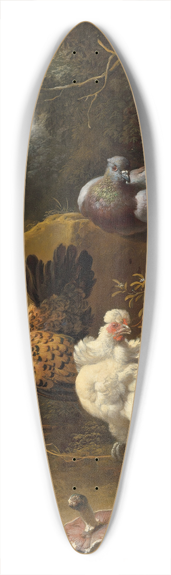 Melchior d'Hondecoeter - Chickens and pigeons in a landscape 39.3 inch art pintail longboard deck