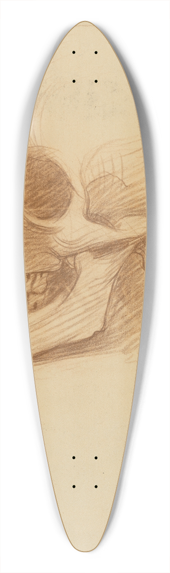 Milan Thomka Mitrovsk - Skull Study 39.3 inch art pintail longboard deck