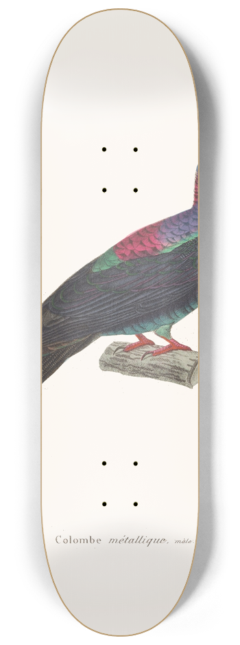 Coenraad Jacob Temminck - Colombe Mtallique. 8.25 inch art skate deck