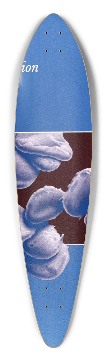 National Institutes of Health - Platelet transfusion therapy 39.3 inch art pintail longboard deck