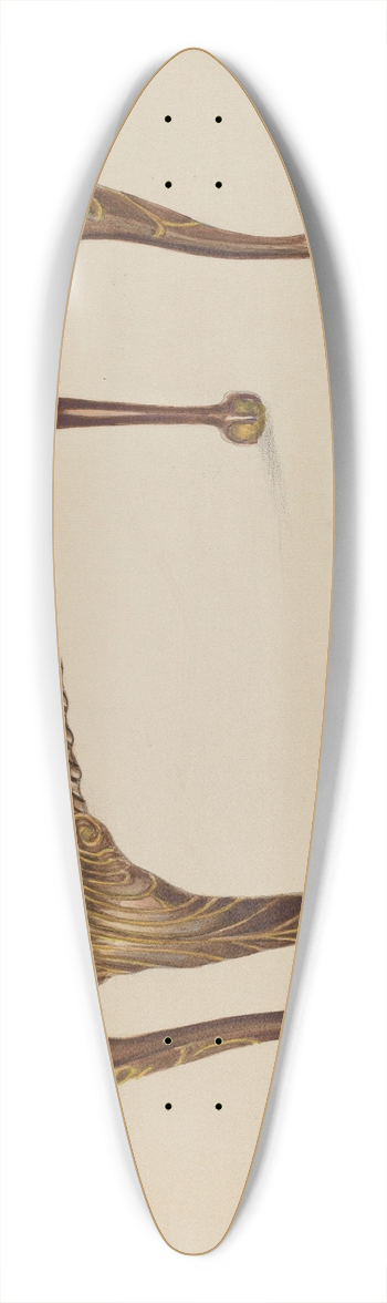 Nicholas Gorid - Pier Table 39.3 inch art pintail longboard deck