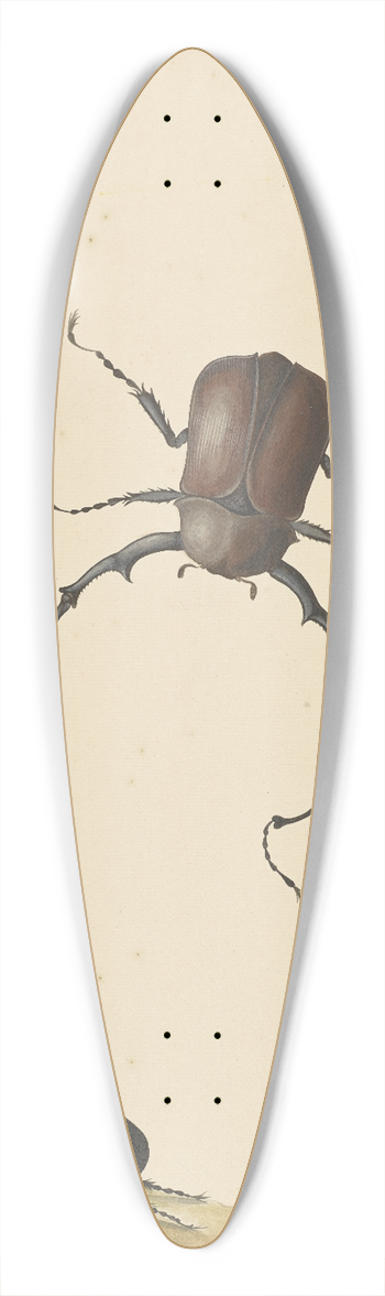 Nicolaas Struyk - Four Beetles and a Flying Stink Bug 39.3 inch art pintail longboard deck