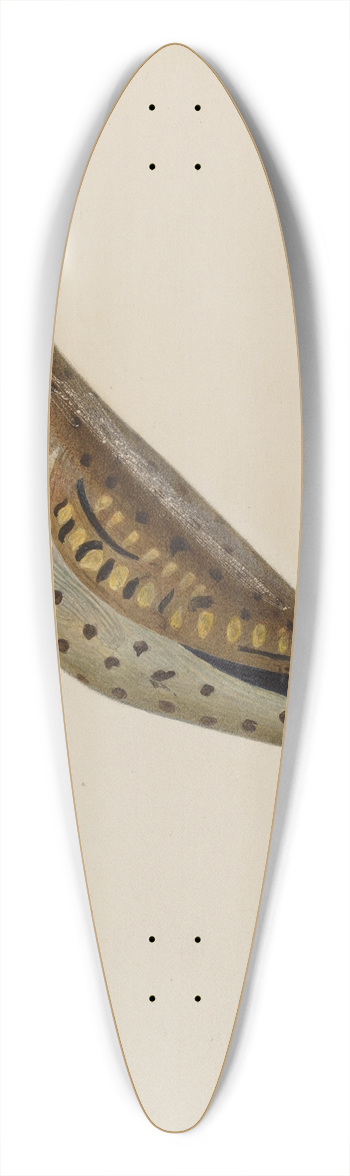 Oscar Bluhme - Decoy 39.3 inch art pintail longboard deck