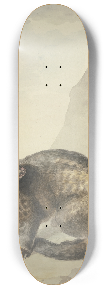Aert Schouman - Een vreemde Levet-Kat 8.25 inch art skate deck