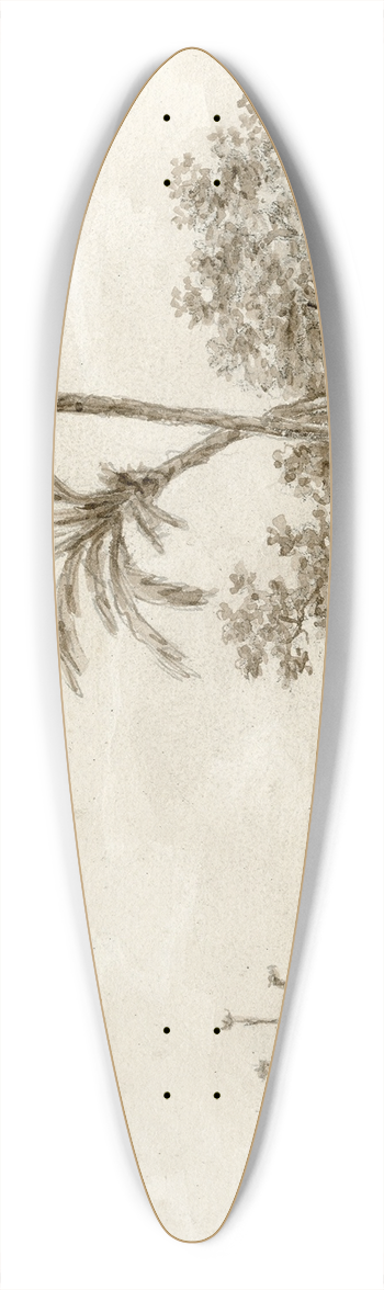 Otto Howen - Gezicht in de omgeving van Valencia 39.3 inch art pintail longboard deck