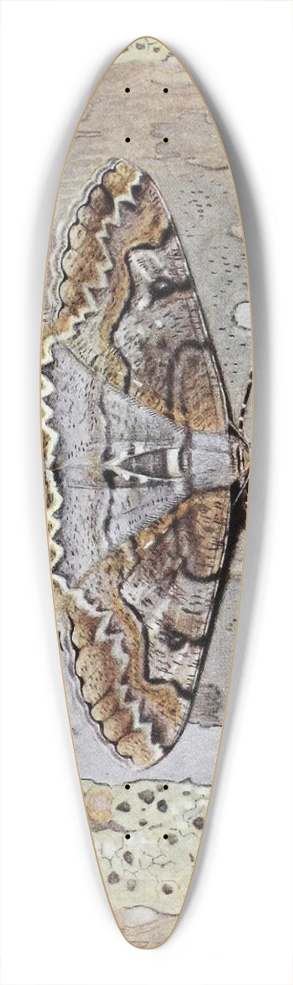 Paul-Andre Robert - La Boarmie Festonne 39.3 inch art pintail longboard deck