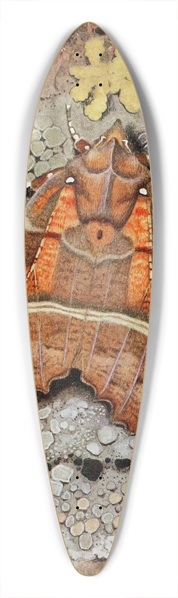 Paul-Andre Robert - La Dcoupure 39.3 inch art pintail longboard deck