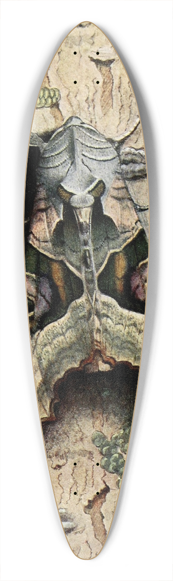 Paul-Andre Robert - La Mticuleuse 39.3 inch art pintail longboard deck
