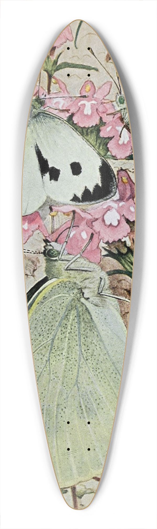 Paul-Andre Robert - La Piride du Chou 39.3 inch art pintail longboard deck