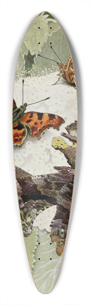 Paul-Andre Robert - Le Gamma 39.3 inch art pintail longboard deck