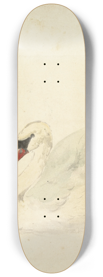 Aert Schouman - Knobbelzwaan 8.25 inch art skate deck
