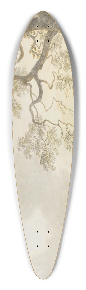 Paul Sandby - Woolwich 39.3 inch art pintail longboard deck