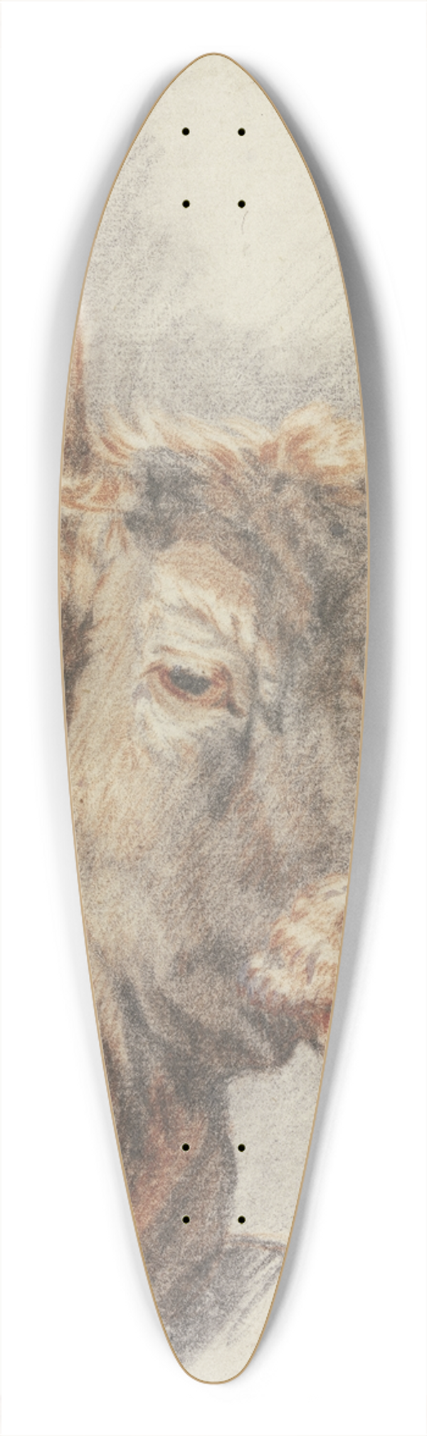 Paulus Potter - An ox head 39.3 inch art pintail longboard deck