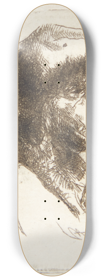 Cornelis Pietersz. Bega - Gammel kvinde med pelshue 8.25 inch art skate deck