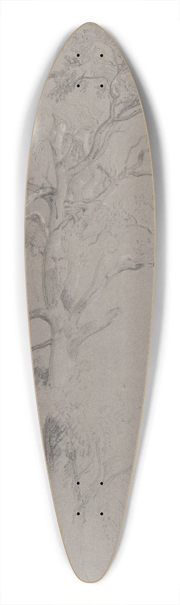 Peter DeWint - Ash Tree in Ashstead Park 39.3 inch art pintail longboard deck