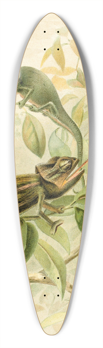 Pierre Jacques Smit - Chameleons 39.3 inch art pintail longboard deck