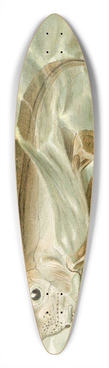 Pierre Jacques Smit - Chimaera 39.3 inch art pintail longboard deck