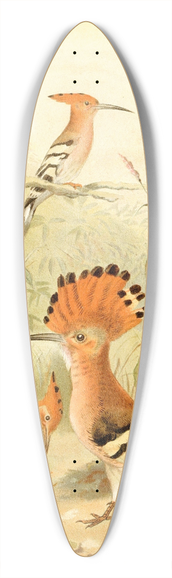 Pierre Jacques Smit - Hoopoes 39.3 inch art pintail longboard deck