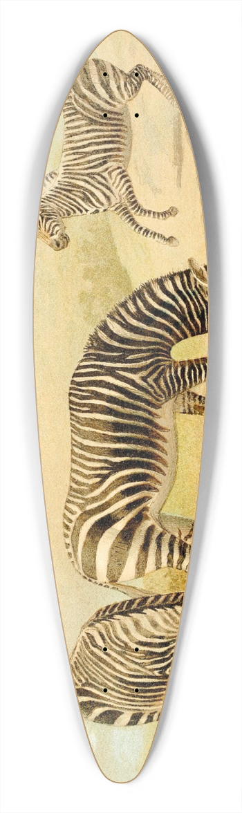 Pierre Jacques Smit - Zebra 39.3 inch art pintail longboard deck