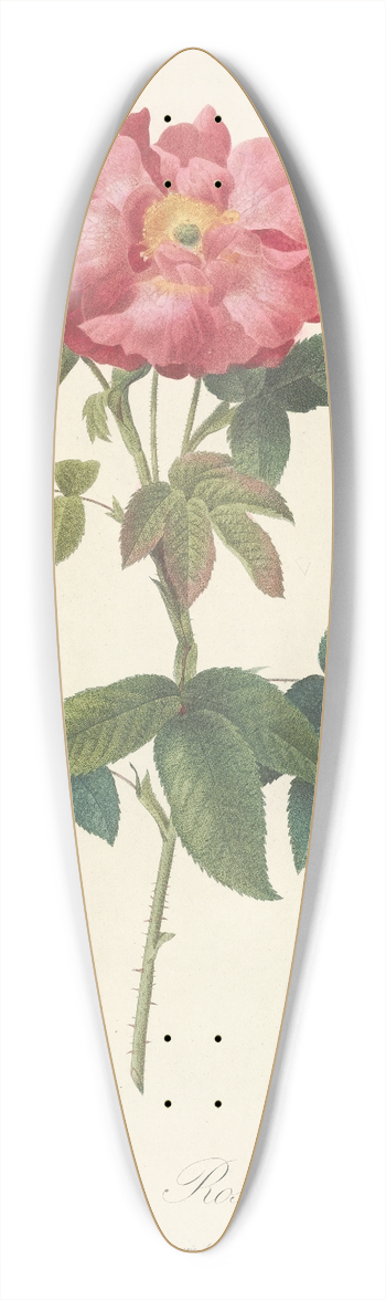 Pierre Joseph Redout - Rosa Gallica Caerulea 39.3 inch art pintail longboard deck