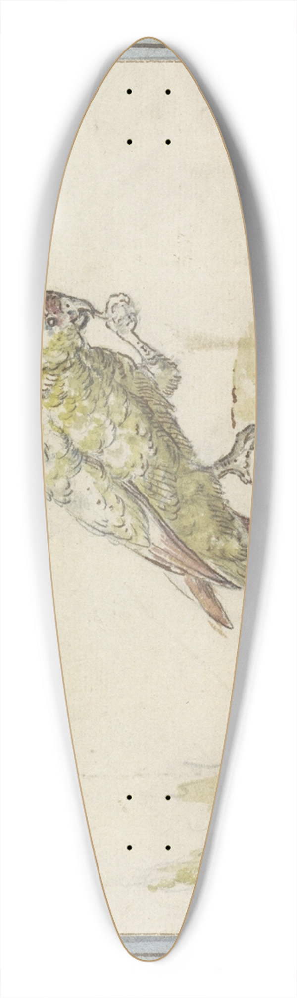 Pieter Casteels III - Papegaai op een tak van een boom 39.3 inch art pintail longboard deck