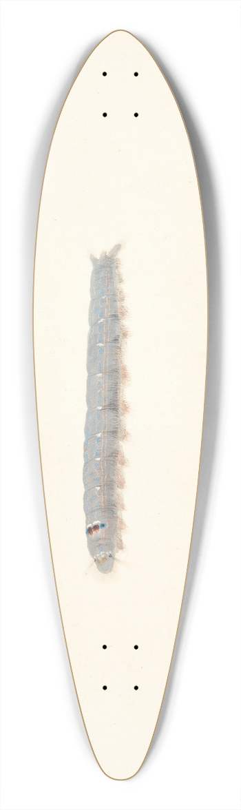 Pieter Holsteijn - En natsommerfuglelarve 39.3 inch art pintail longboard deck